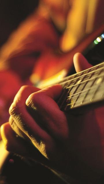 musical instrument guitar